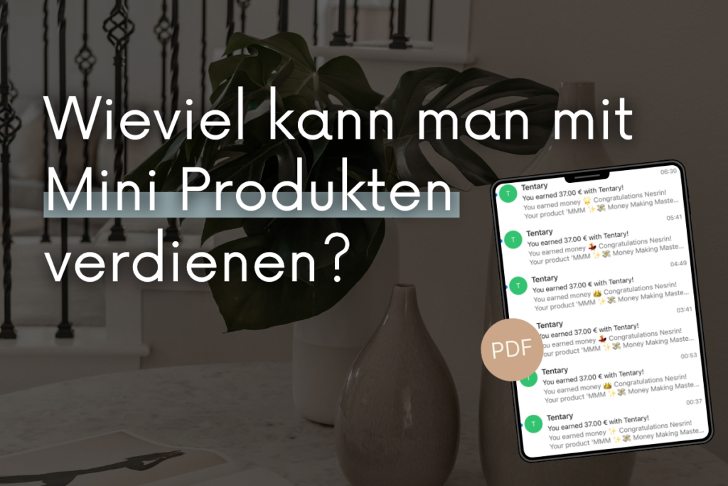 Wie viel Geld bringen Mini Produkte wirklich?